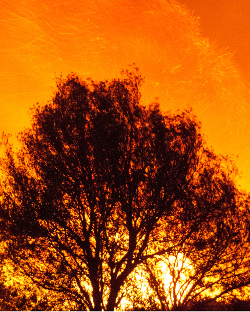 Wildfires and Public Health: Lessons for Future Doctors